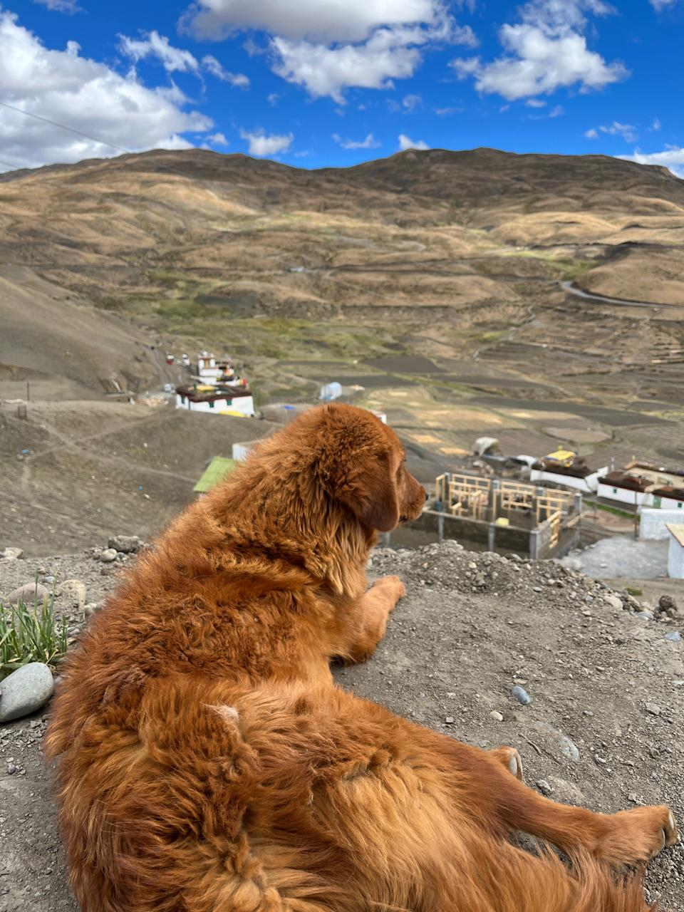 Spiti Unfiltered: One for the High Roads & Wild Valleys photo 4
